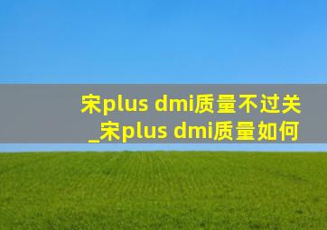 宋plus dmi质量不过关_宋plus dmi质量如何